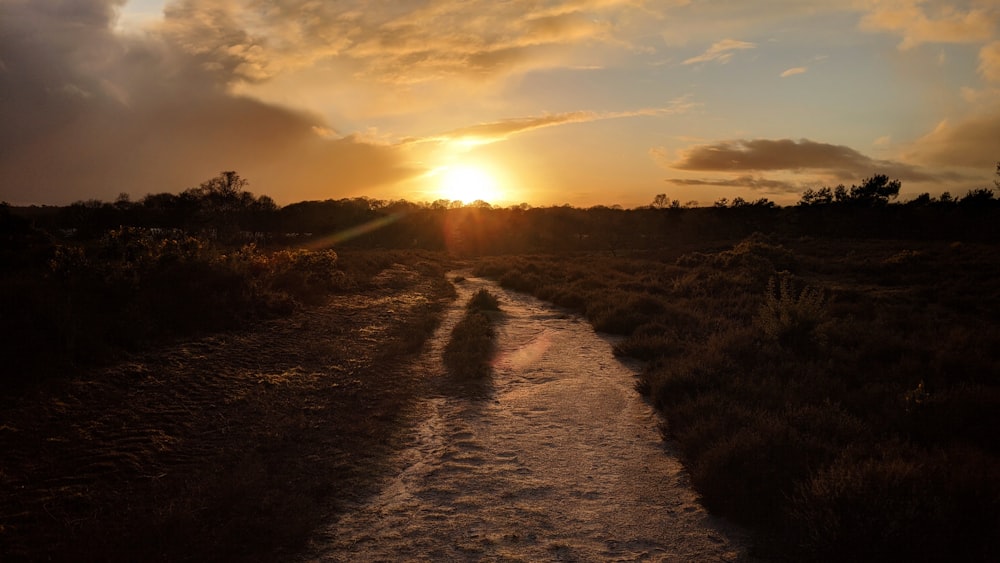 green grass field during sunset