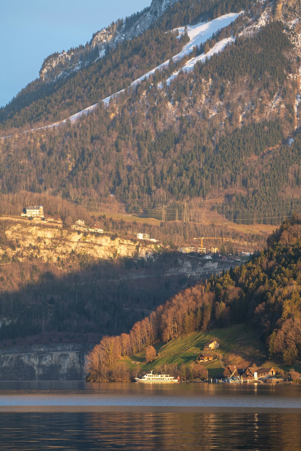 green trees and brown mountains during daytime