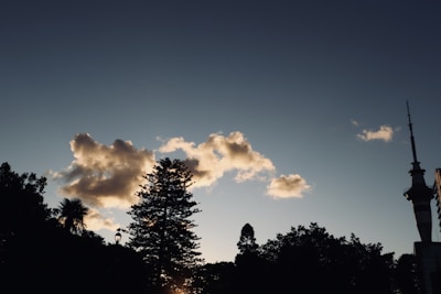 A skyline is shown during what appears to be sunset or sunrise, with a few fluffy clouds reflecting warm sunlight. Silhouettes of trees and a tall tower structure are visible against the backdrop of a clear sky transitioning to darker shades.