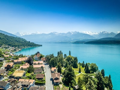 green trees near body of water during daytime switzerland zoom background