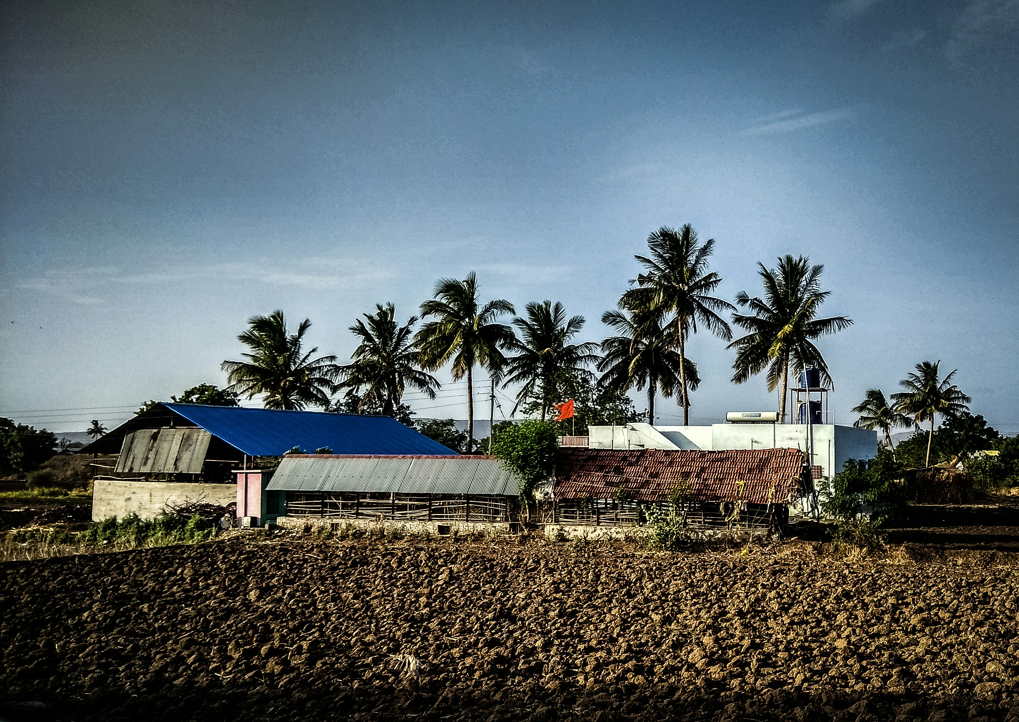 Photo by mananj008
