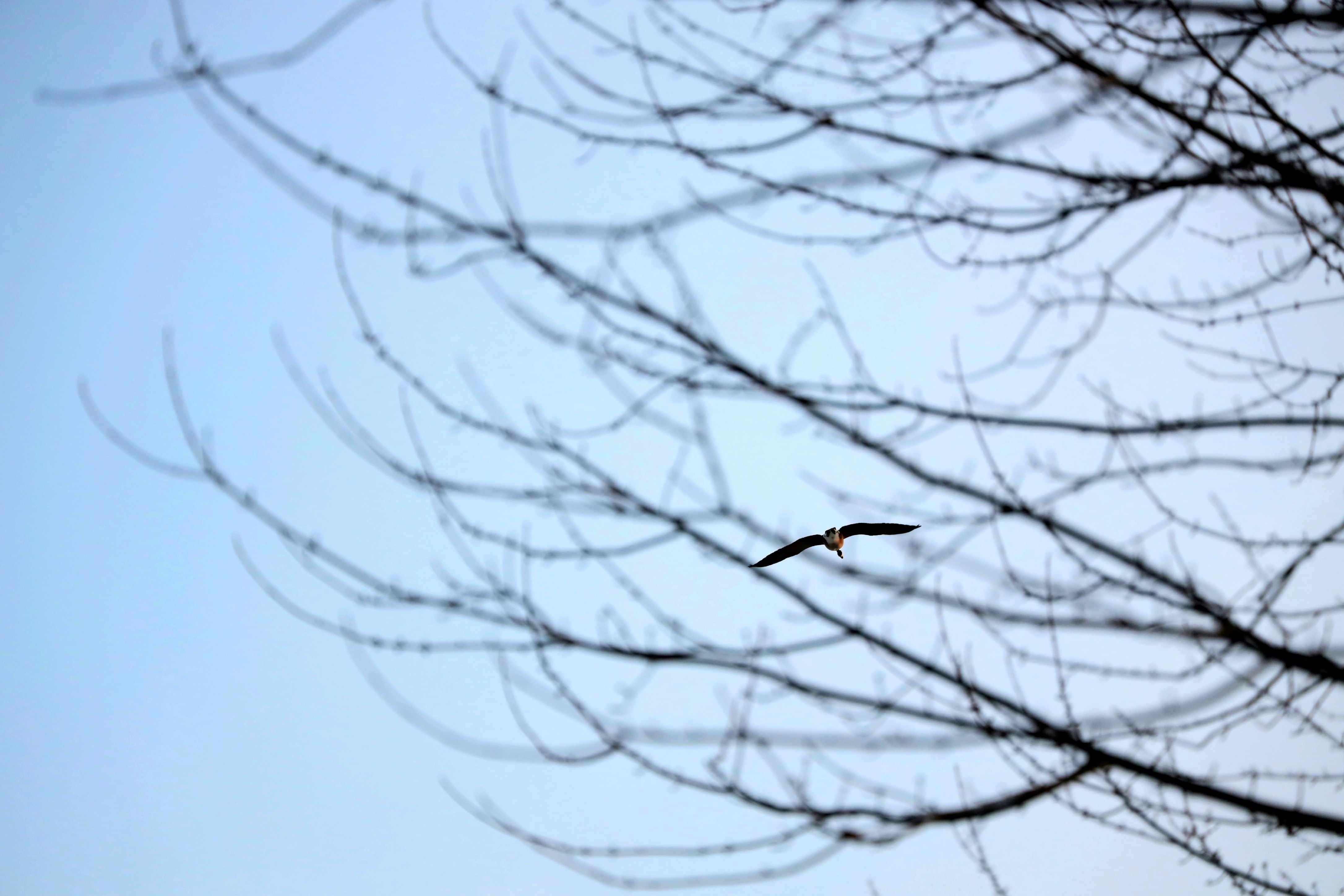 Photo by richardworks