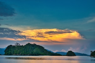 green trees on island during sunset