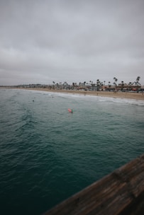 A coastal scene features a wide expanse of ocean under a cloudy sky, with a surfer on a red surfboard in the water. The shoreline has a sandy beach lined with palm trees and buildings in the background.