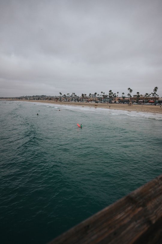 people on beach during daytime in Newport Beach United States