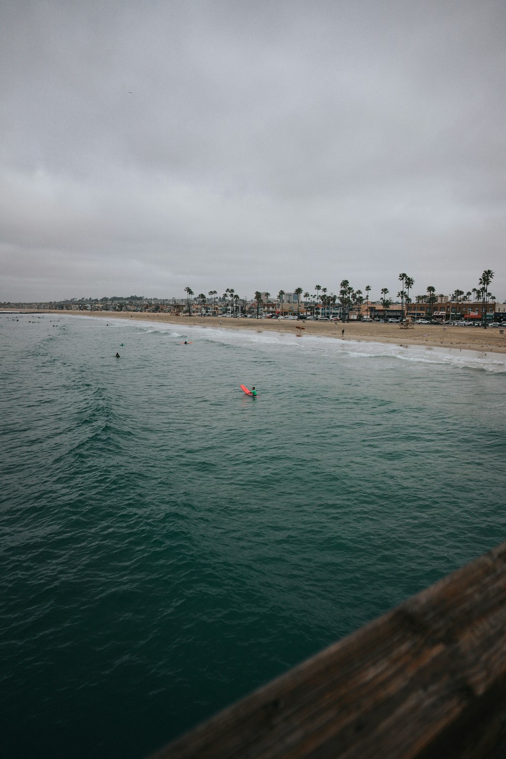 people on beach during daytime