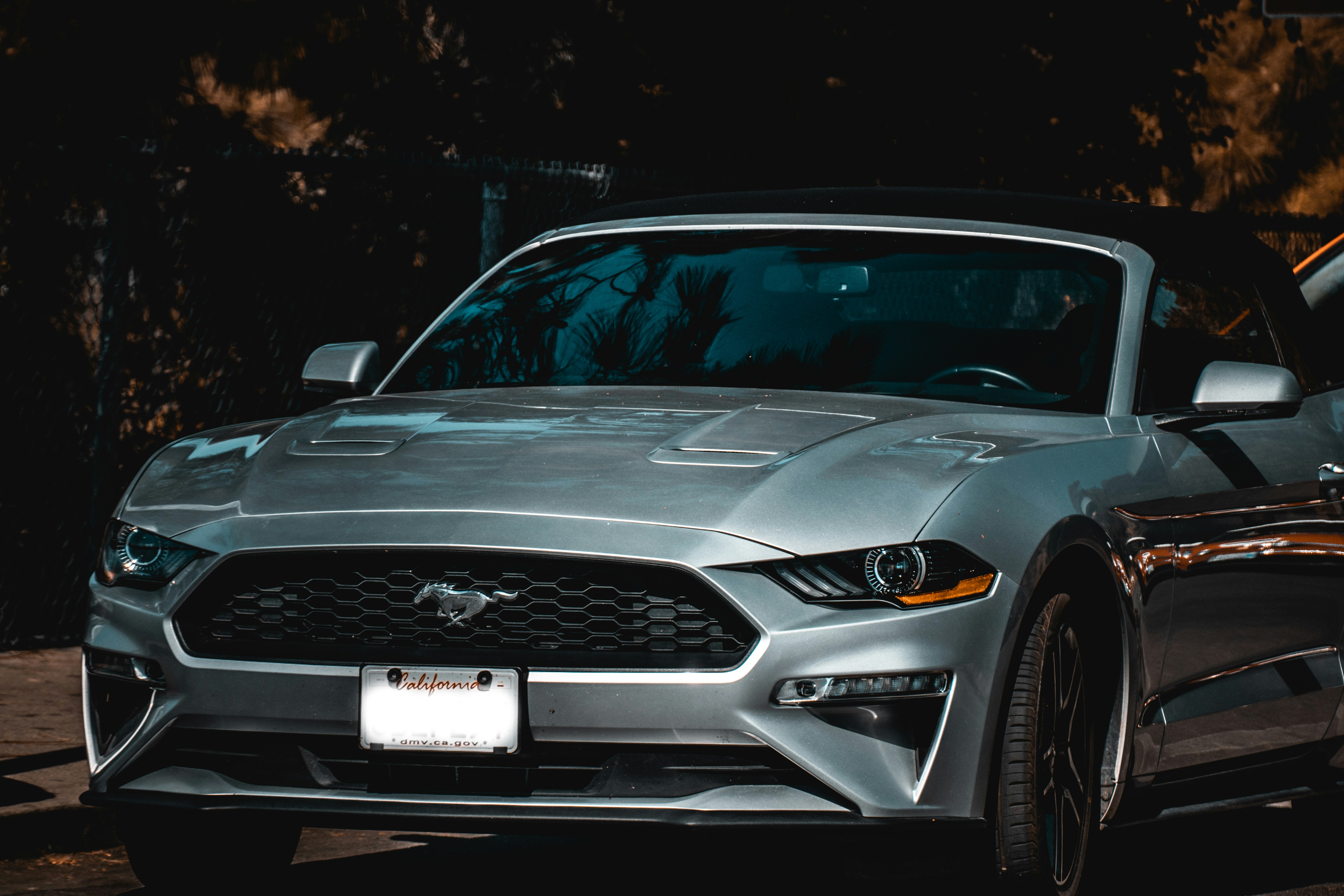 Photo by einfachlaurenz