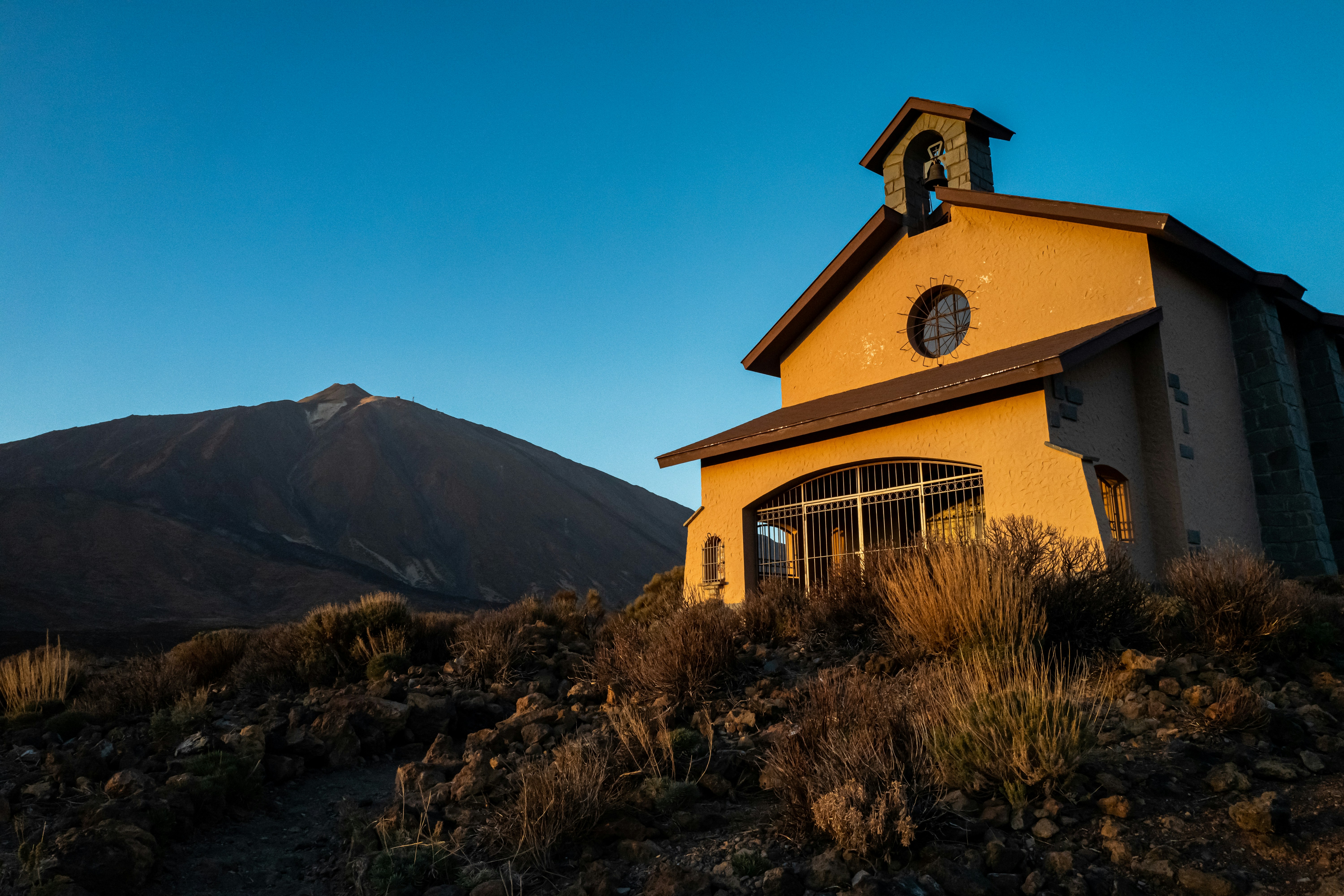 Photo by mercadomuses