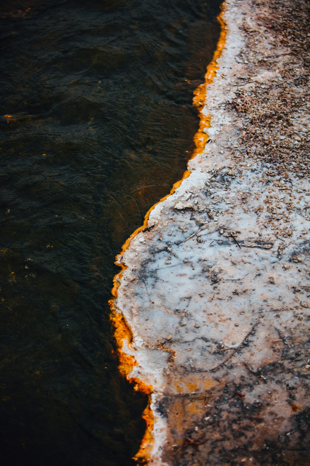 white and brown beach shore