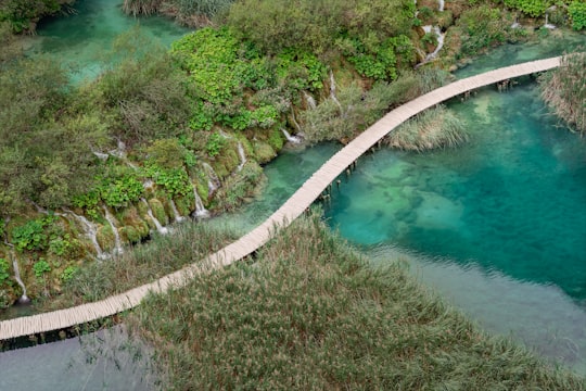 green trees beside river during daytime in Plitvice Croatia