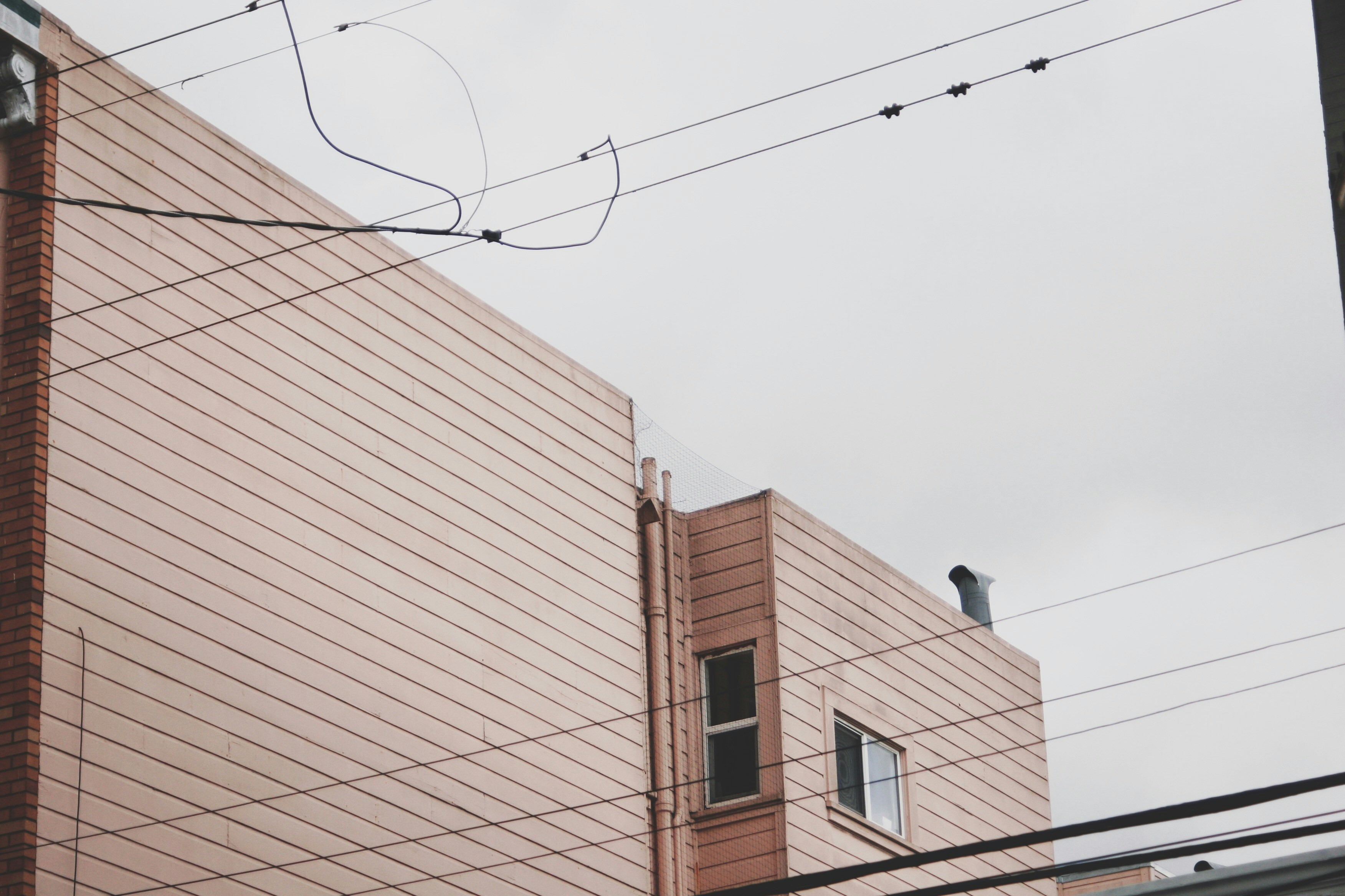 Photo by giorgiotrovato