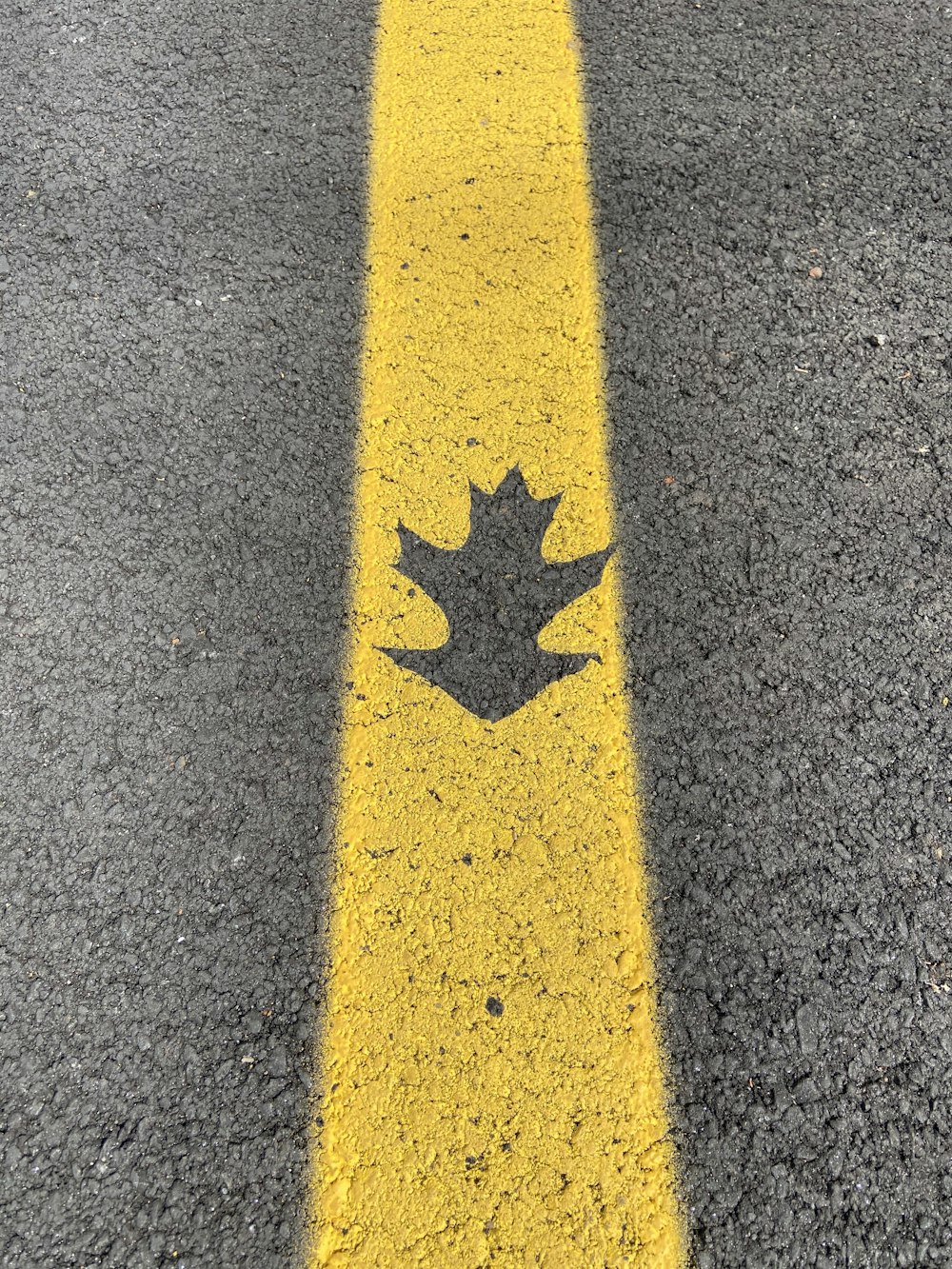 yellow line on gray asphalt road