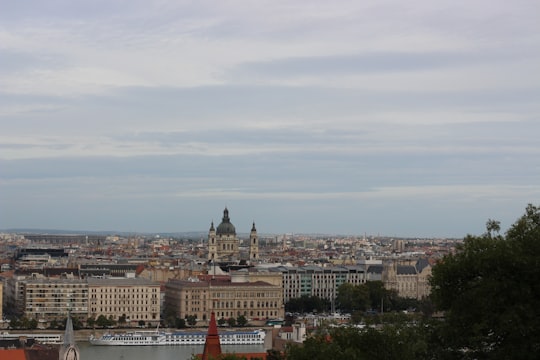 aerial view of city buildings during daytime in Buda Castle Hungary