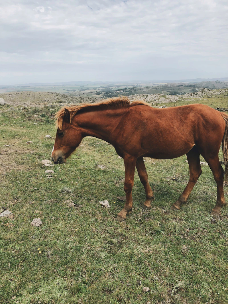 Tandil & Sierras del Tandil