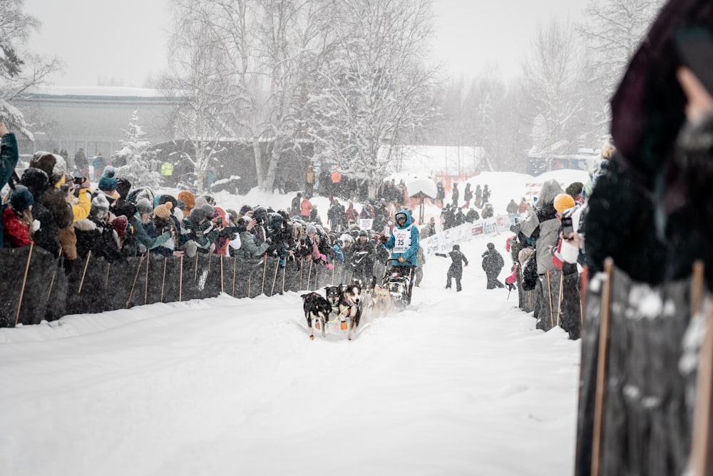 people on snow covered ground during daytime