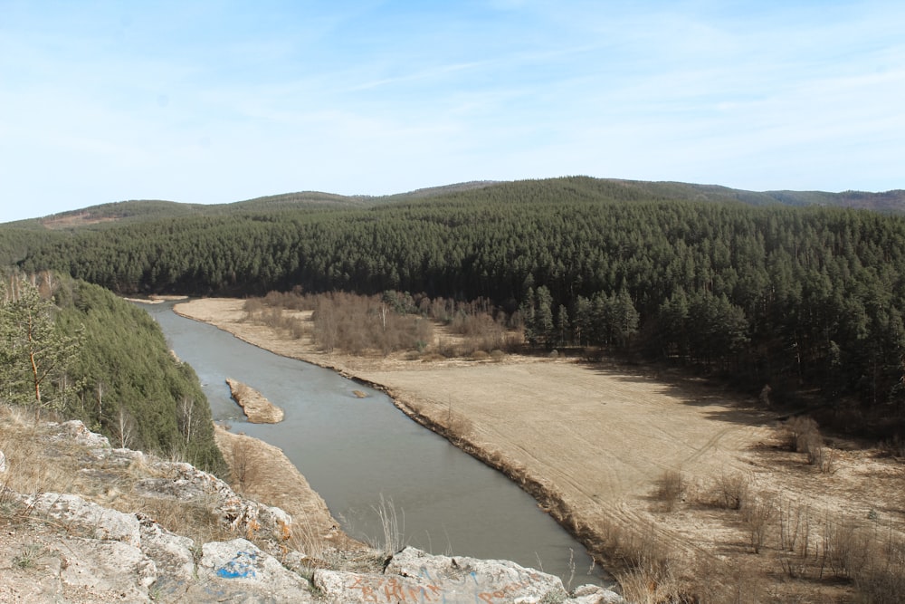 river between green trees under blue sky during daytime