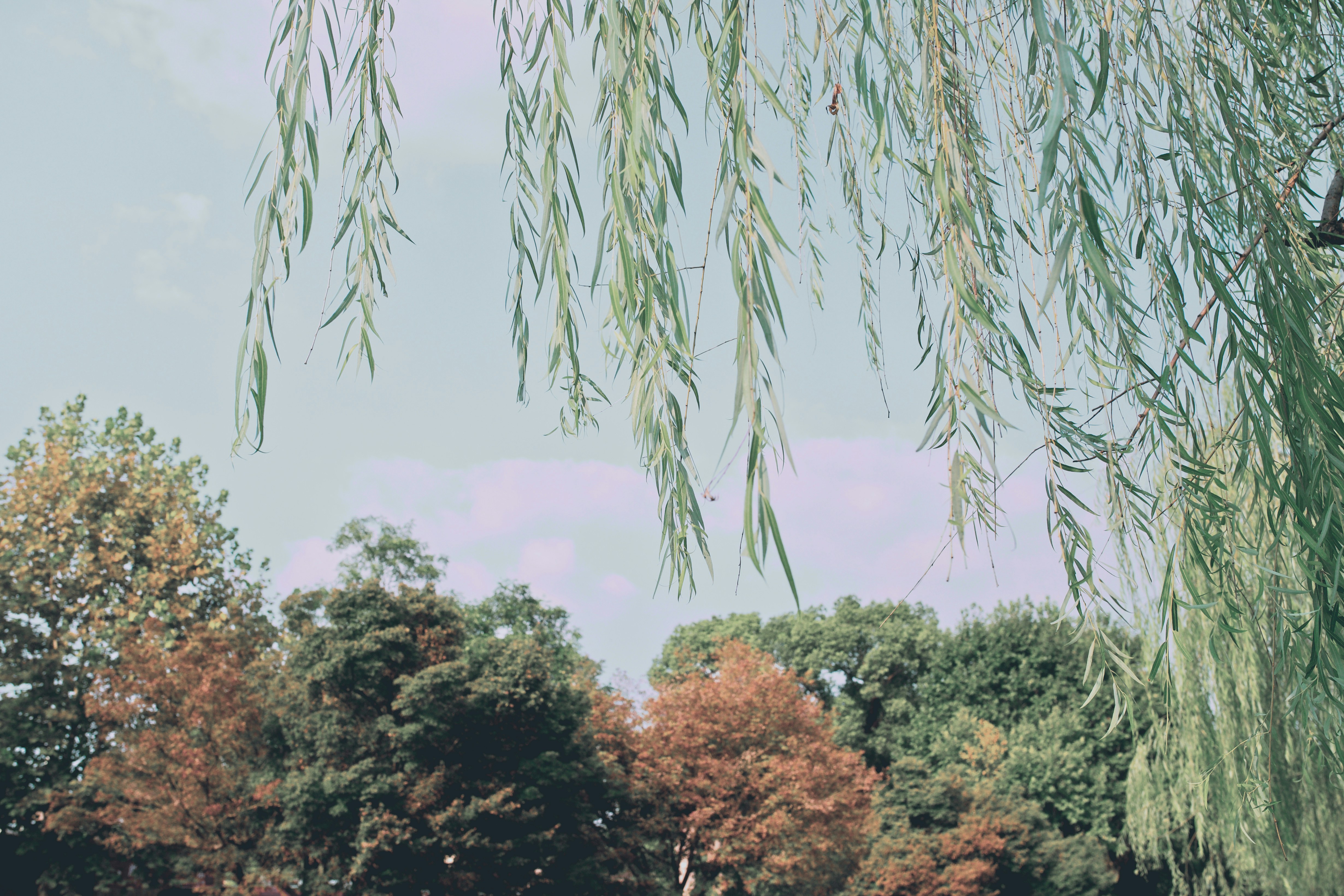 Photo by liuxx