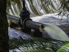 black and blue water pump