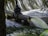 A metal pipe conducts water into a flowing stream beneath an overhanging branch. The stream rushes past a small waterfall in a verdant natural setting.