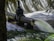 A metal pipe conducts water into a flowing stream beneath an overhanging branch. The stream rushes past a small waterfall in a verdant natural setting.