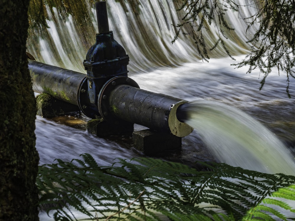 black and blue water pump