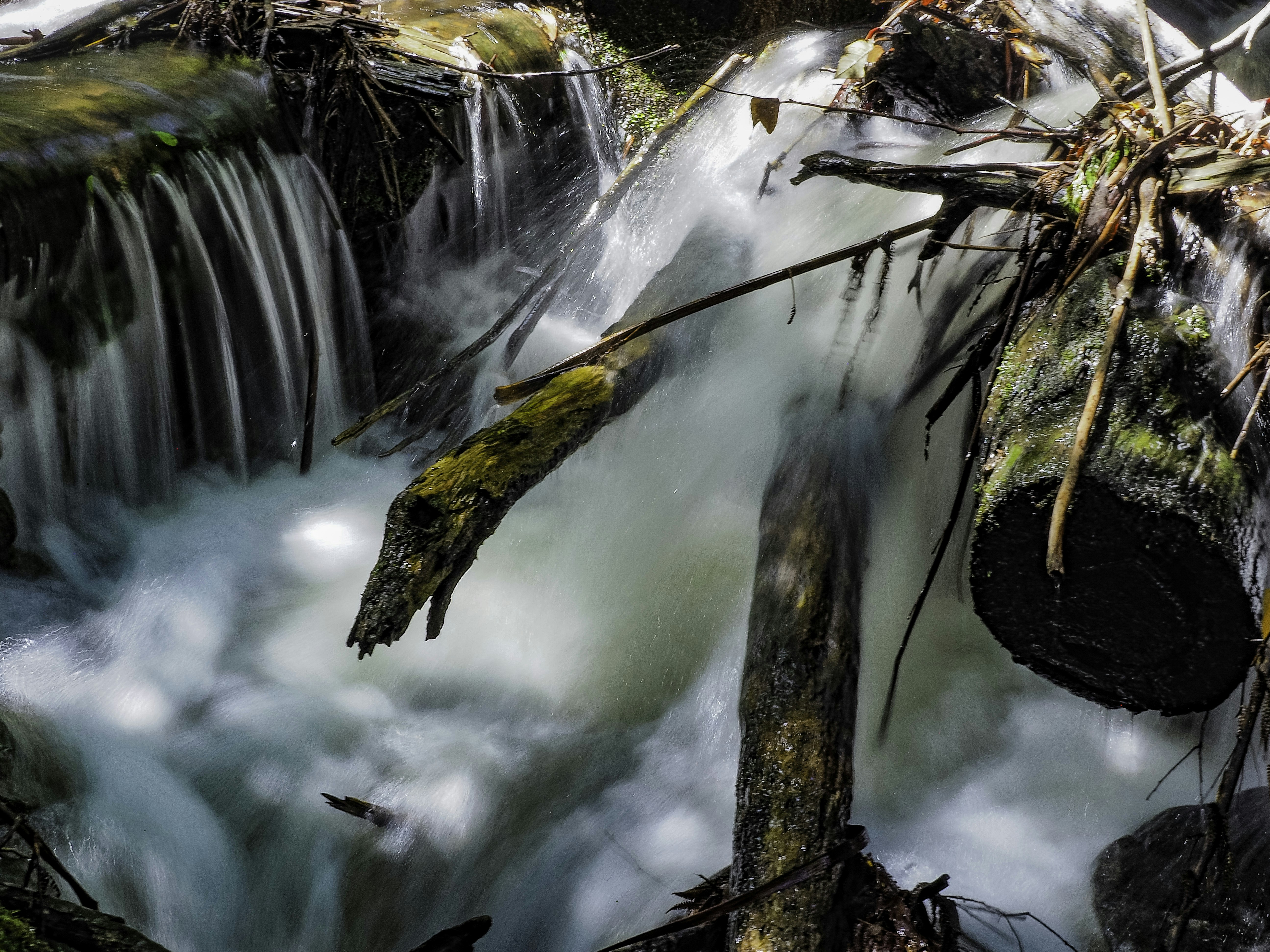 Photo by 11x11