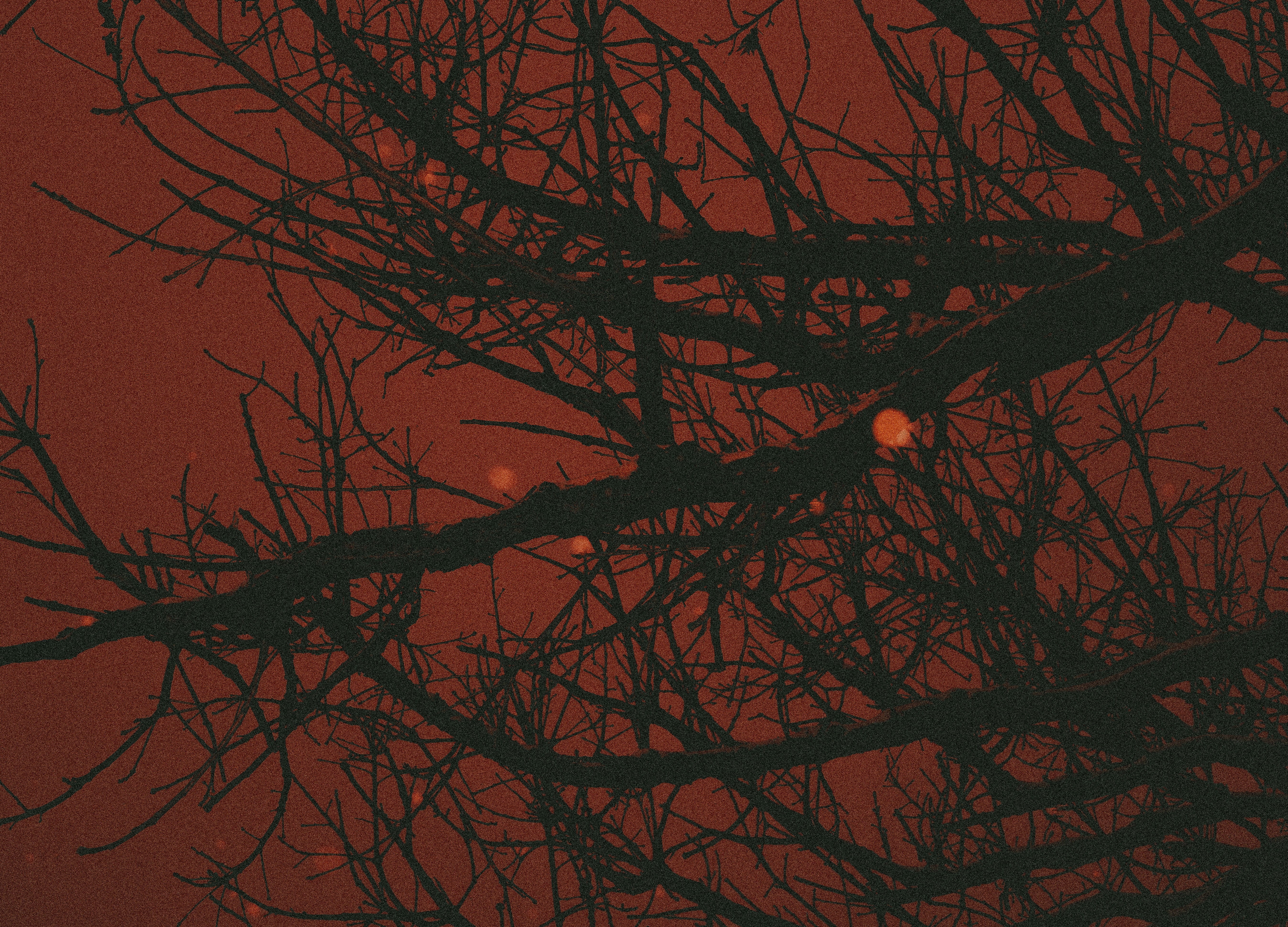 Photo by lowmurmer