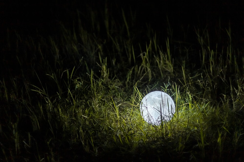 white golf ball on green grass field