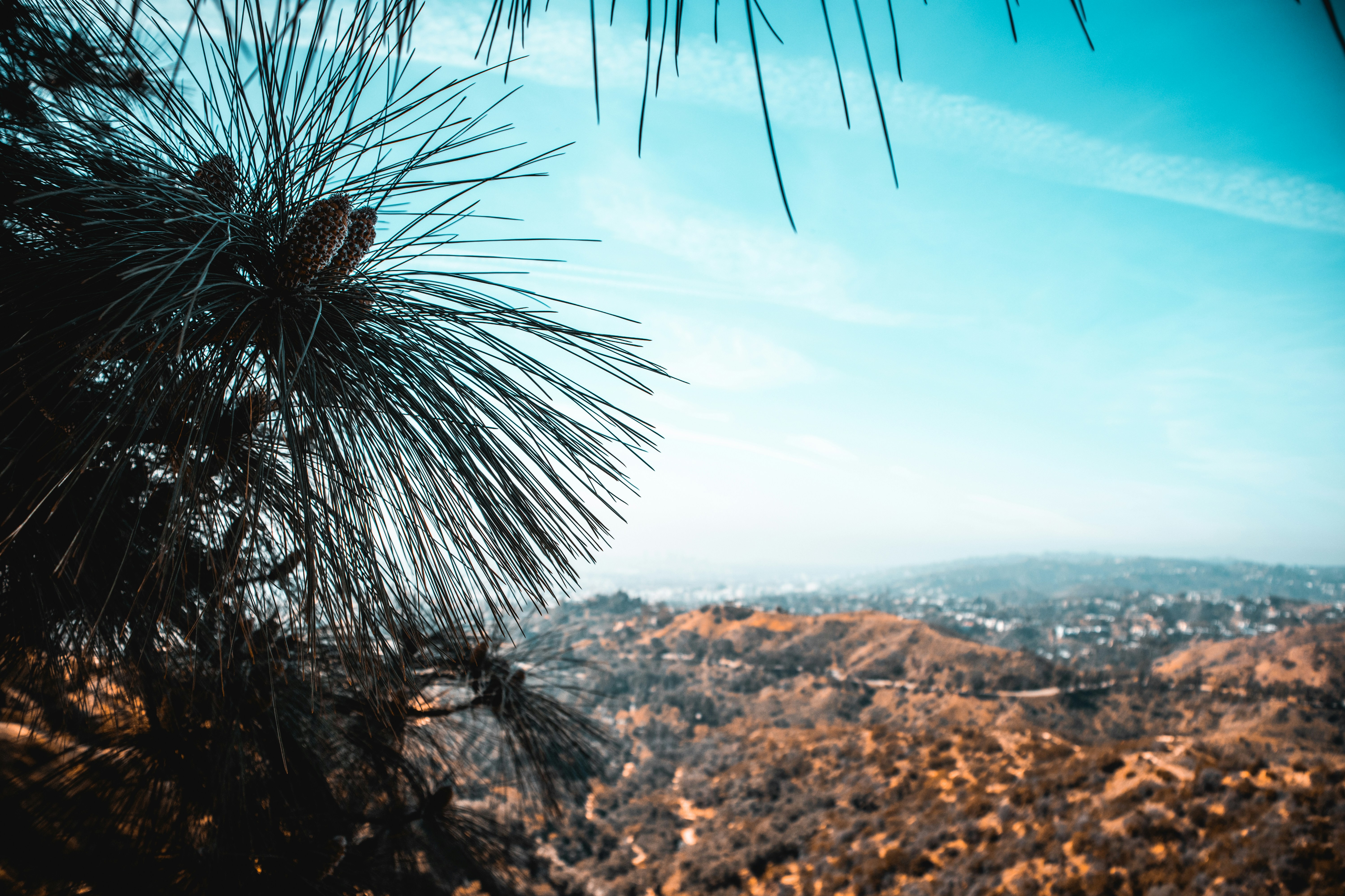 Photo by einfachlaurenz