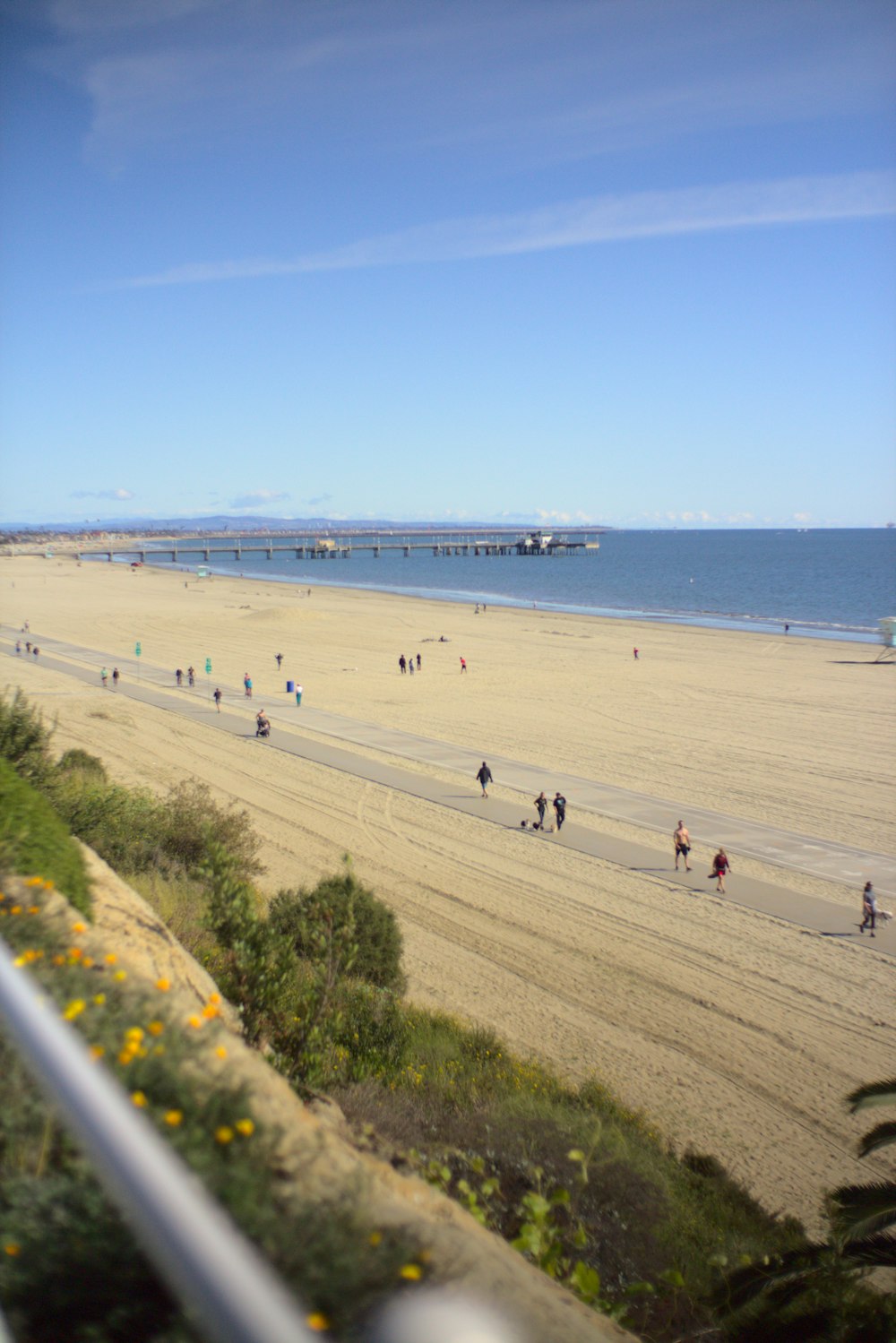 people on beach during daytime