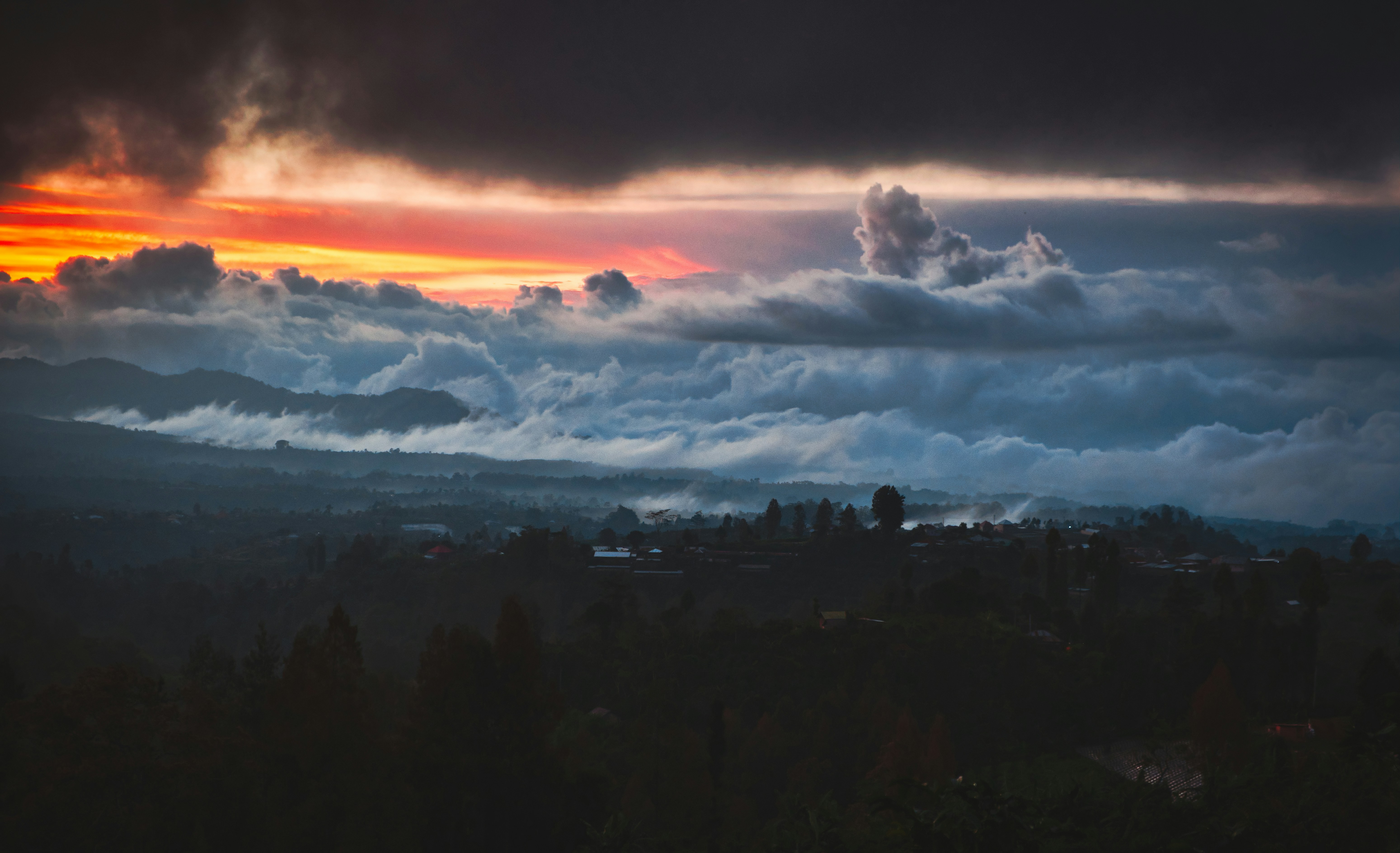 silhouette of trees under cloudy sky during sunset