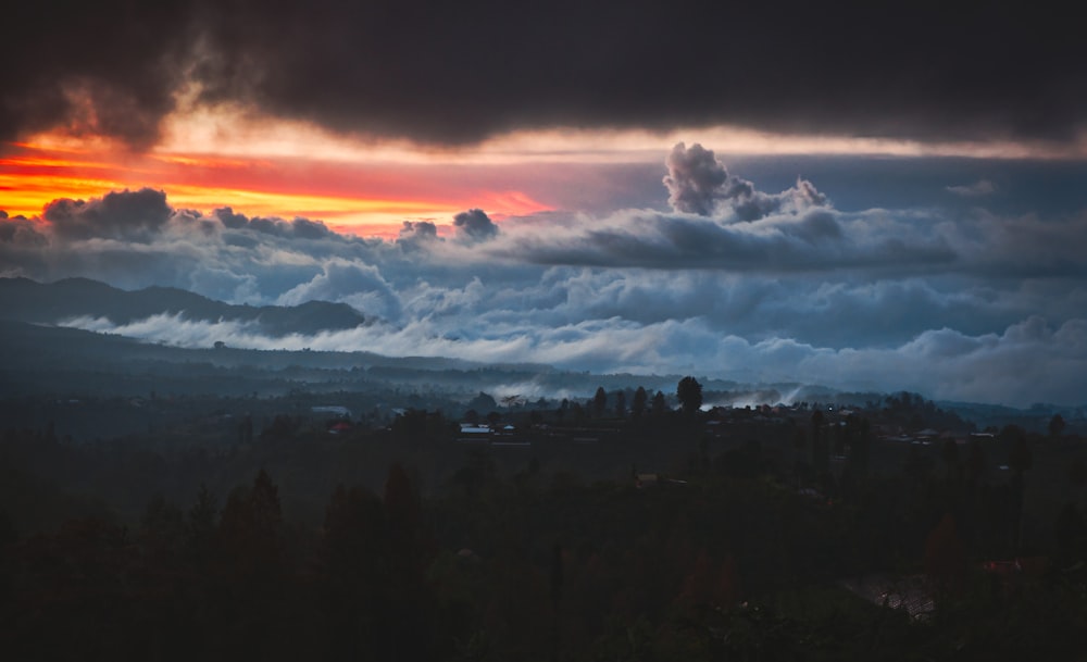 silhueta de árvores sob o céu nublado durante o pôr do sol