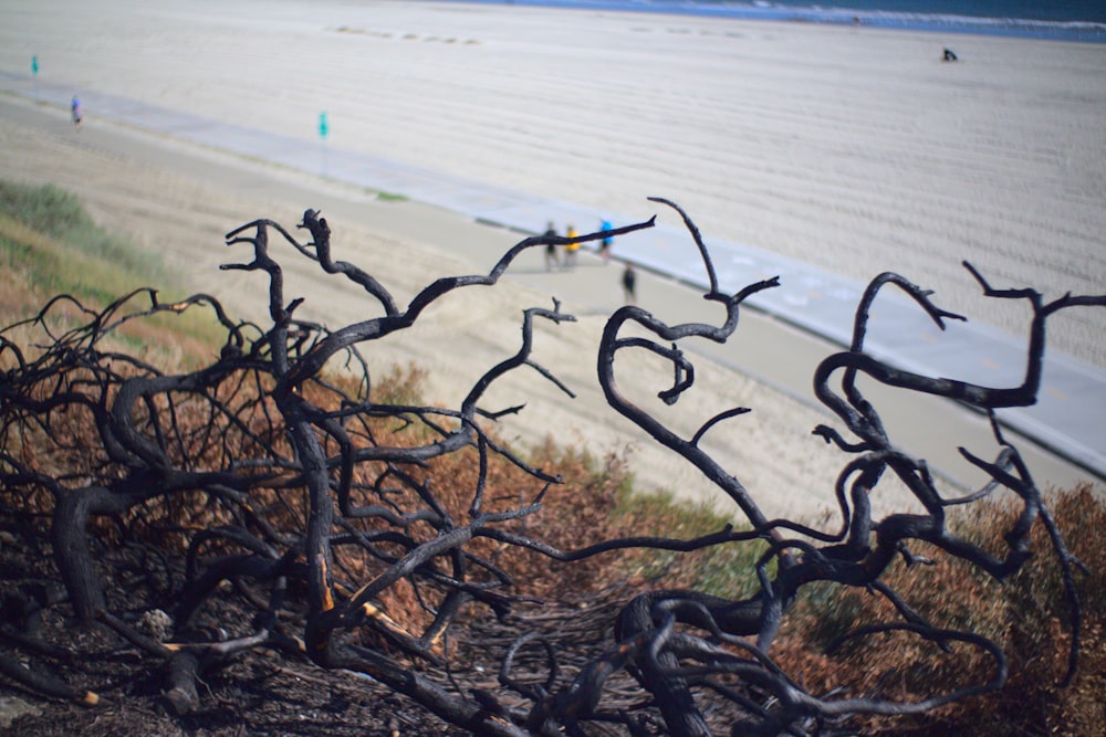 black metal fence near body of water during daytime