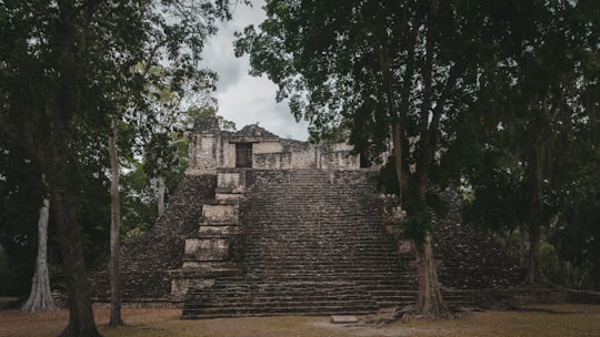 photo of Costa Maya Archaeological site near Quintana Roo