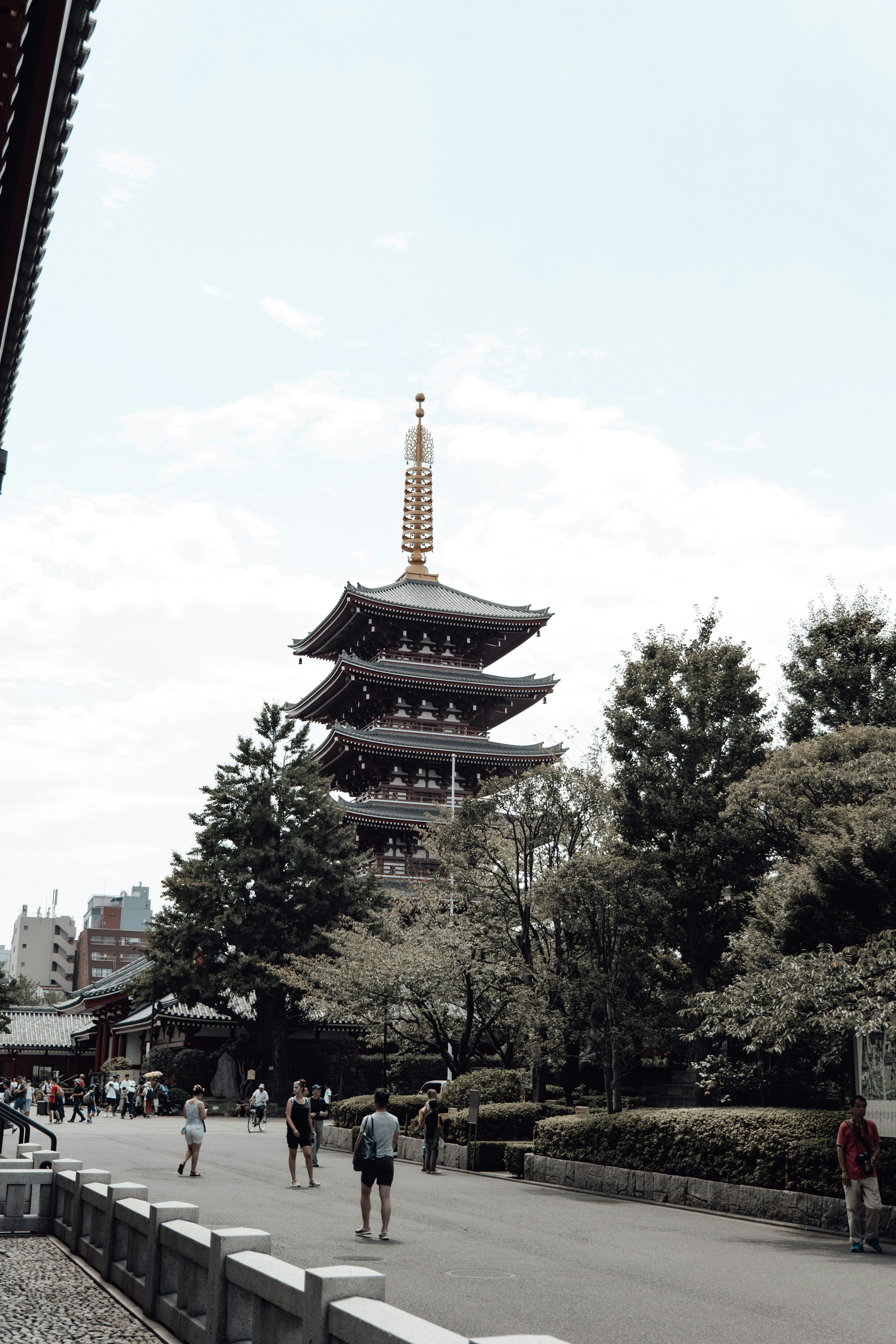 people walking on street near green trees and brown building during daytime