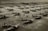 A large number of military aircraft are lined up on a tarmac in an organized manner, suggesting preparation or storage. People are seen walking around the planes, possibly performing inspections or maintenance. The image, in black and white, gives a historical feel.