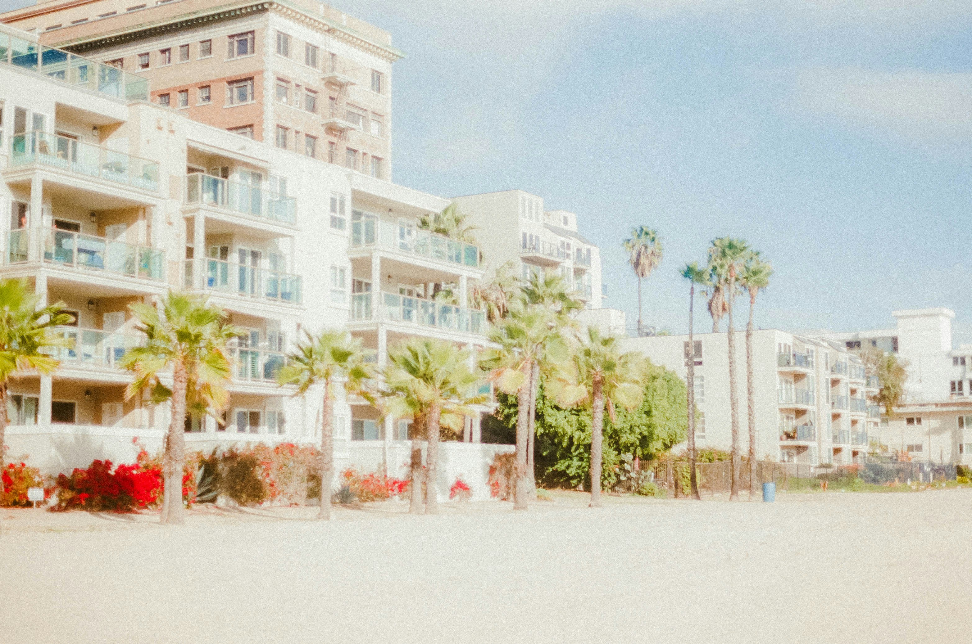 Photo by edwinnaviles