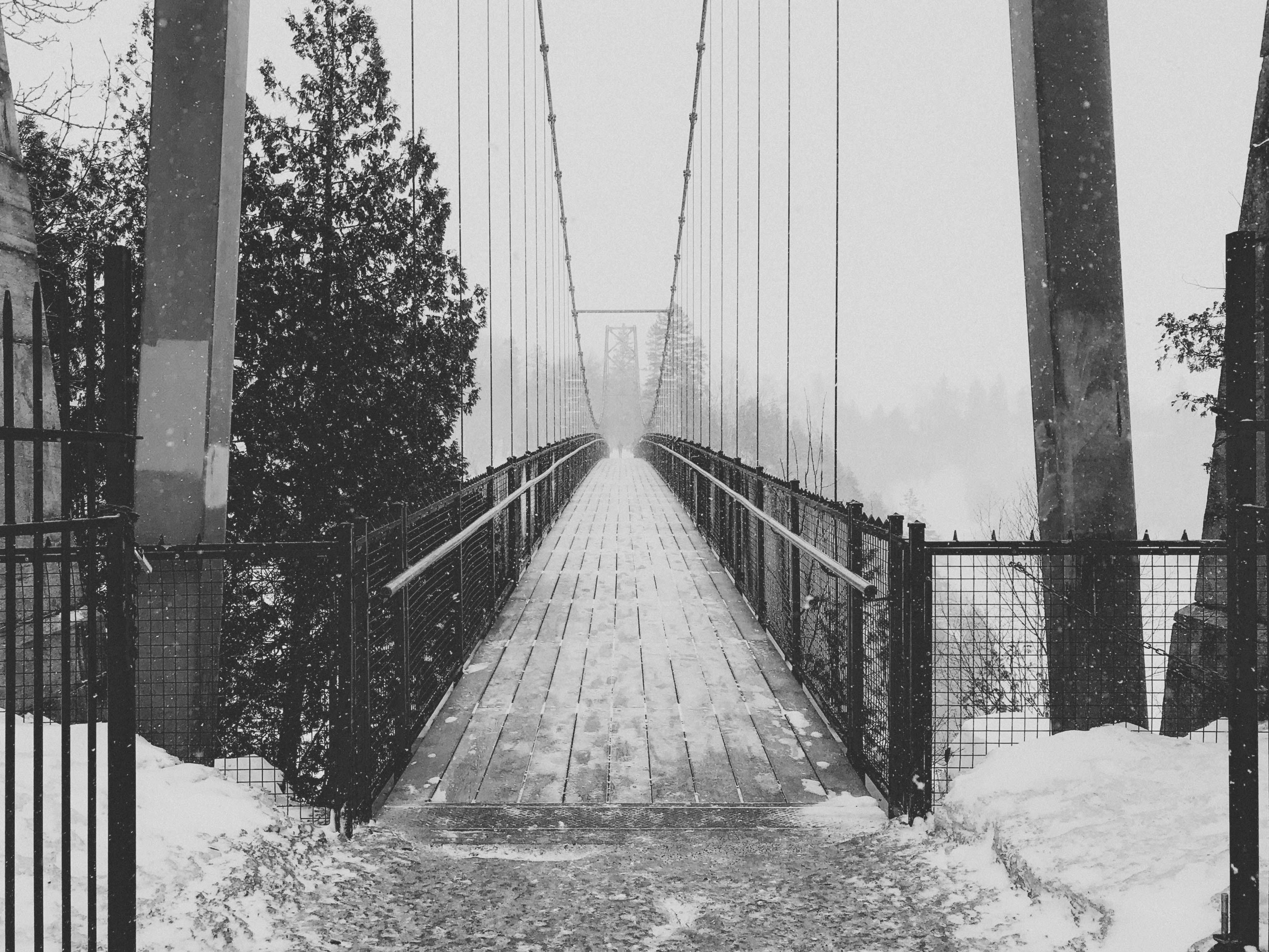 Photo by yohannlibot