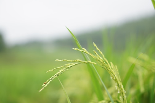 Photo 1583742564081 738d9239eeb5?q=85&w=625&h=335&fit=crop