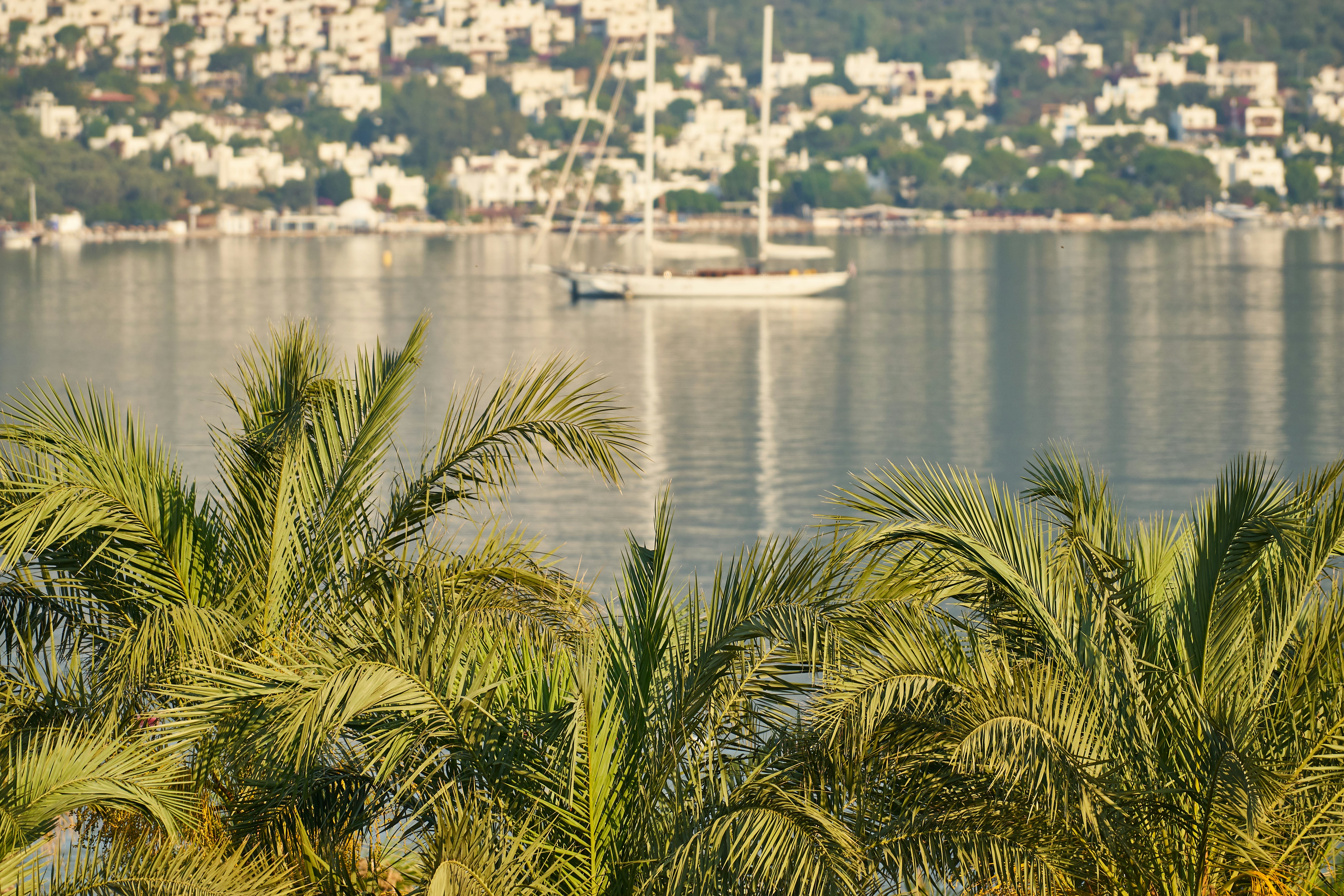 Photo by enginakyurt
