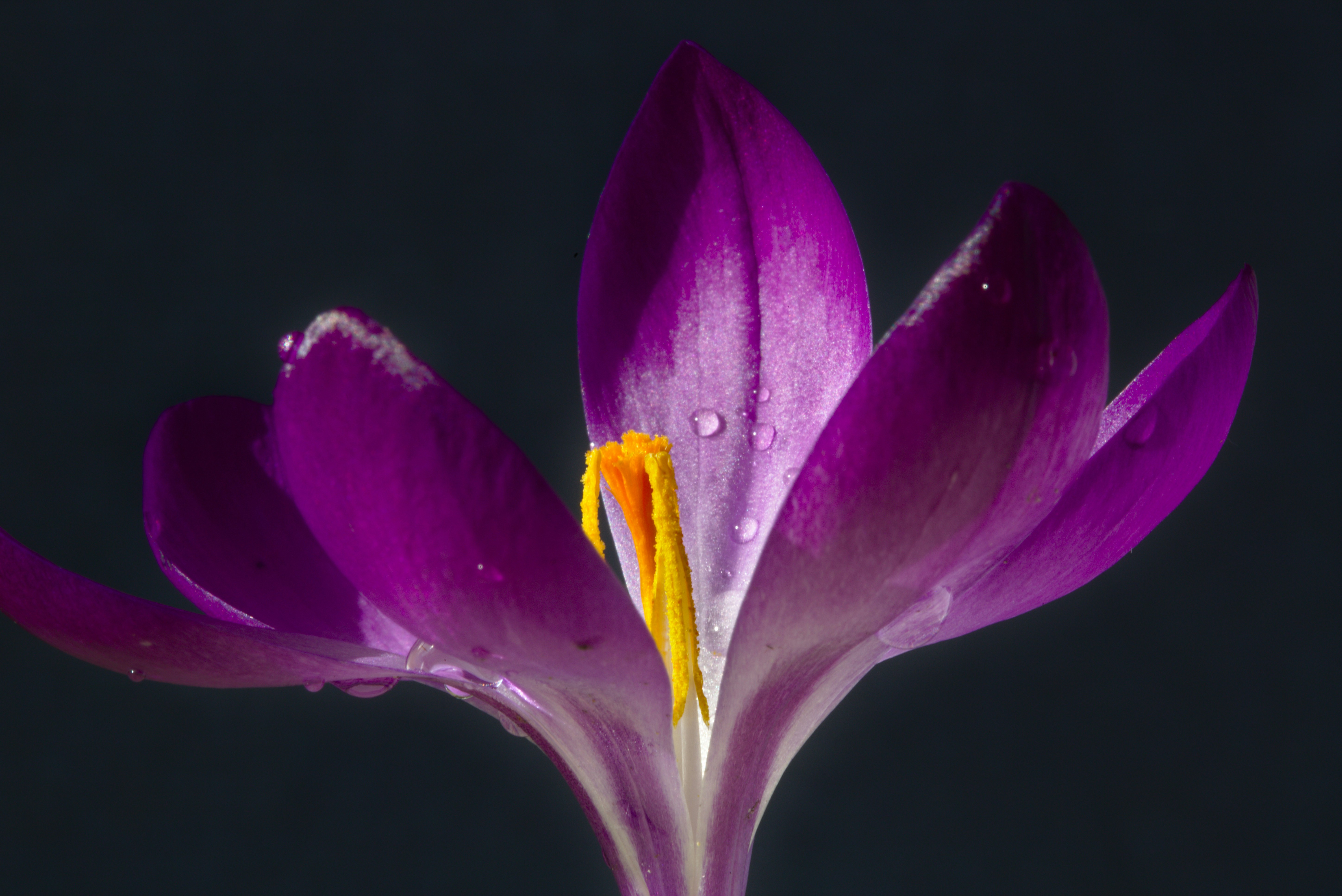 Photo by robpumphrey