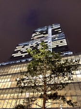 green tree near white concrete building during night time