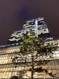 green tree near white concrete building during night time