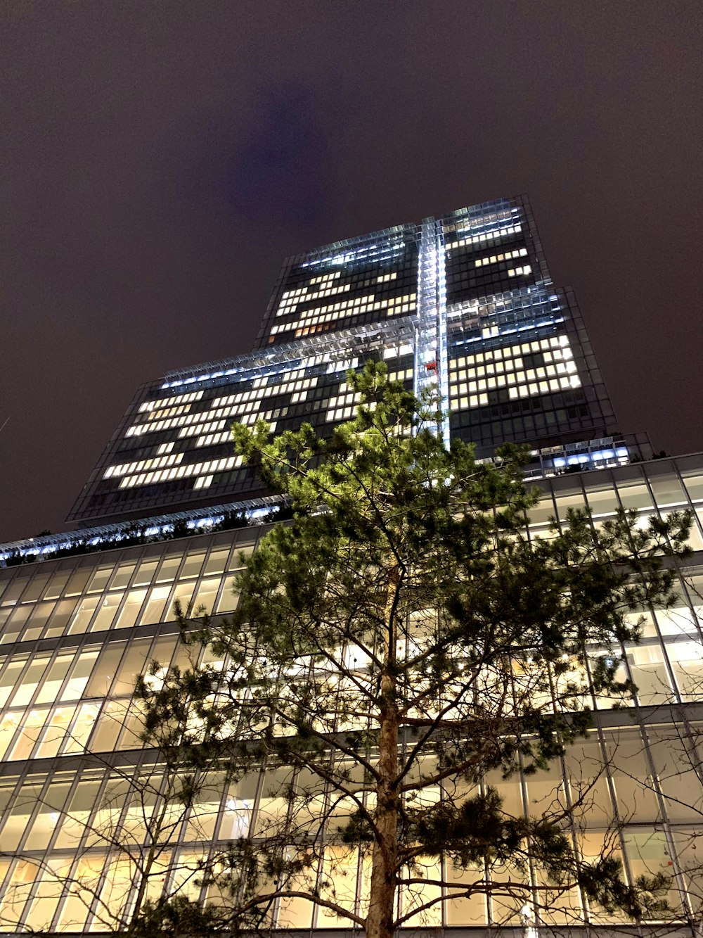 green tree near white concrete building during night time