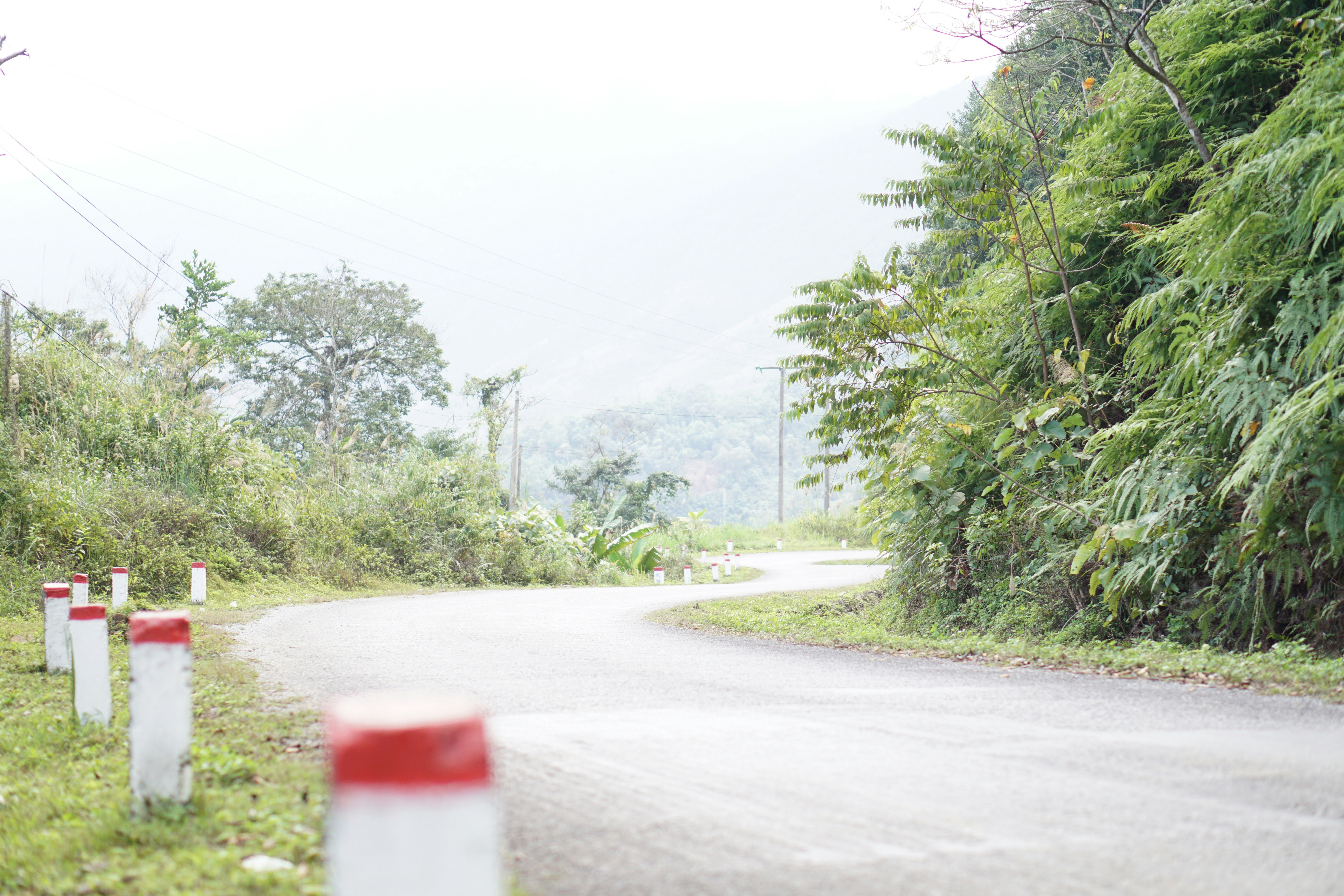 6 Mistakes to Avoid in Shillong Teer Result Predictions