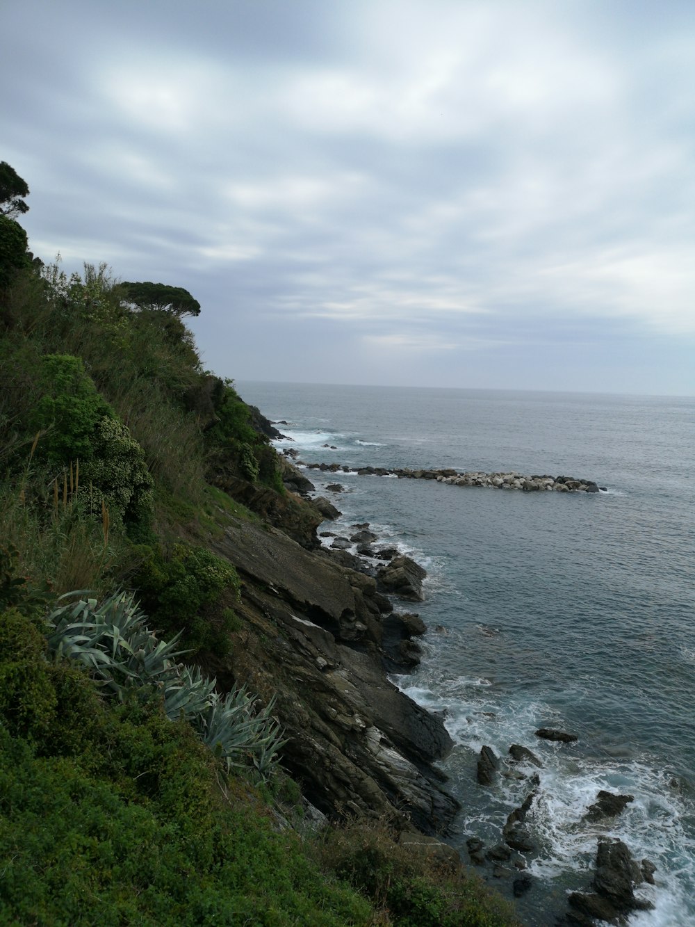 hierba verde en la montaña rocosa junto al mar bajo el cielo nublado durante el día