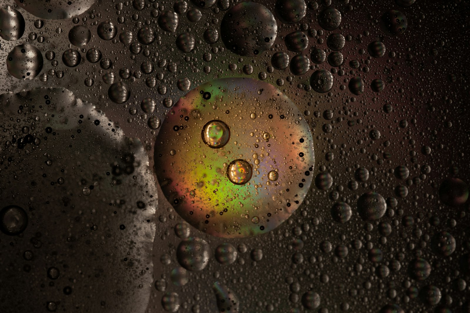 Sigma 105mm F2.8 EX DG OS HSM sample photo. Water droplets on glass photography