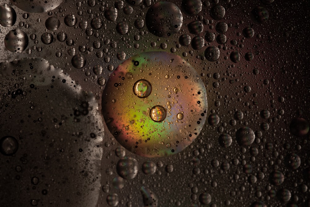 water droplets on glass panel