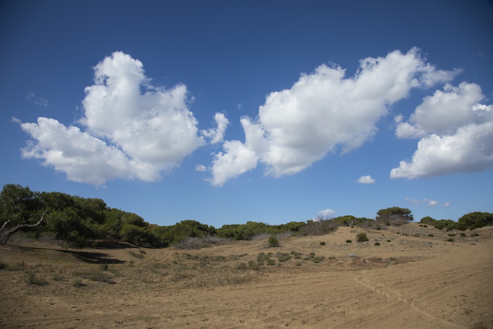 Champ d’herbe verte sous le ciel bleu et les nuages blancs pendant la journée