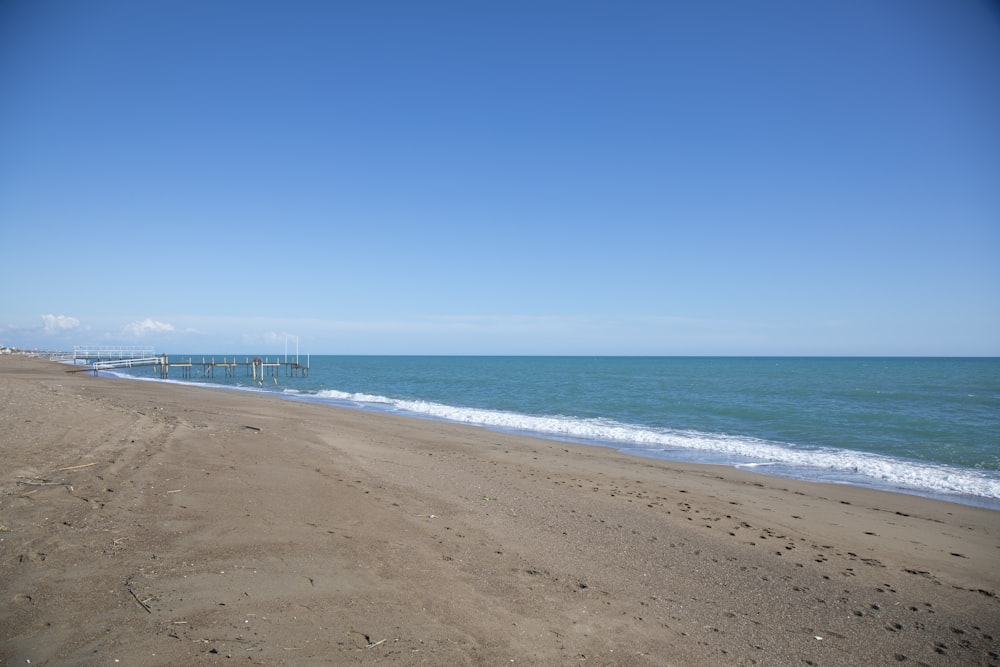 people walking on beach during daytime